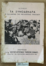Ξυνόδενδρα