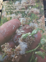 Εγχειρίδιο για τη συλλογή και τη διατήρηση των παραδοσιακών ποικιλιών. Πώς να κρατήσουμε το δικό μας σπόρο.