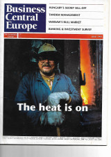 Business Central Europe The heat is on