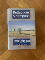 Reflections in a Silver Spoon