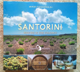 Santorini rooted in the volcano