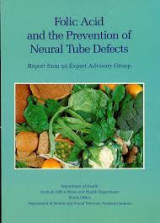 Folic Acid and the Prevention of Neural Tube Defects
