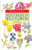 Mediterranean Wild Flowers