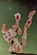 Κάρτα - Smithsonian Institution - 1969 - U.S.A.