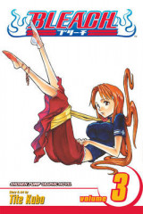 Bleach, Vol. 3 v. 3 Bleach, Vol. 3 Memories in the Rain