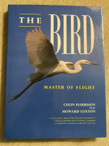 The Bird