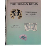 The Human Brain in Photographs and Diagrams