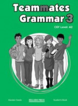 Teammates 3 A2 Grammar