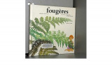 Fougères