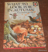What to Look for in Autumn