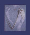 Human Anatomy