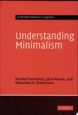 Understanding Minimalism