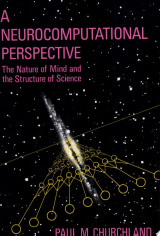 A Neurocomputational Perspective