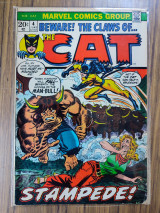 The Cat (1972) 4