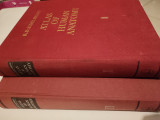 Atlas of Human Anatomy in Three Volumes