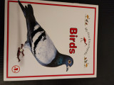 My first encyclopedia - Birds
