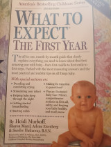 What to expect the first year