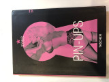 Icons, Pin-ups