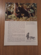 World of wildlife, Vol. 3, Pt. 42